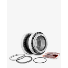 Комплект подшипника Fersa Bearings F200005